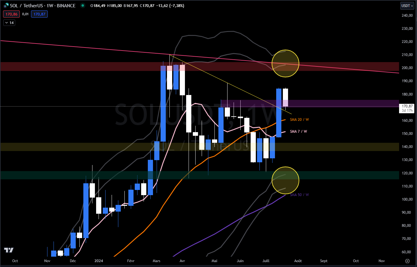 Solana price chart against the dollar in W (weekly)