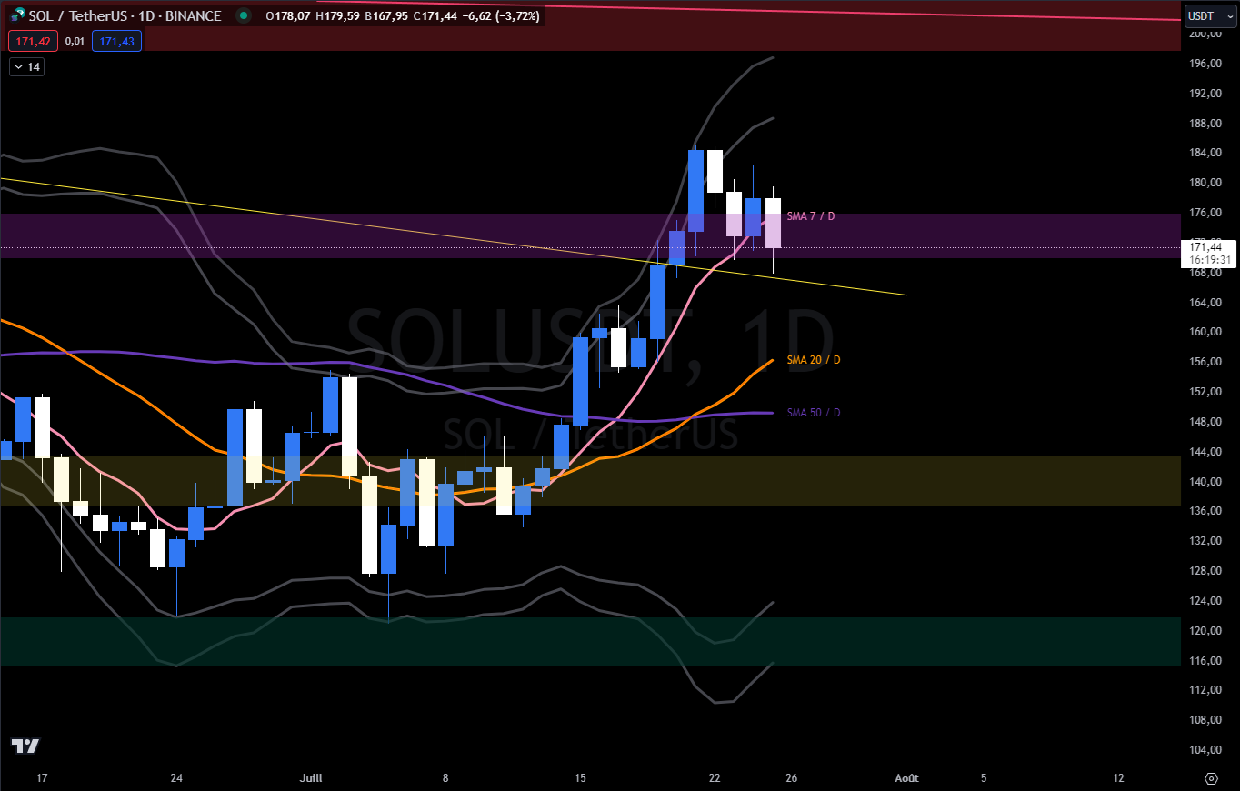 Solana price chart against the dollar in D (daily)