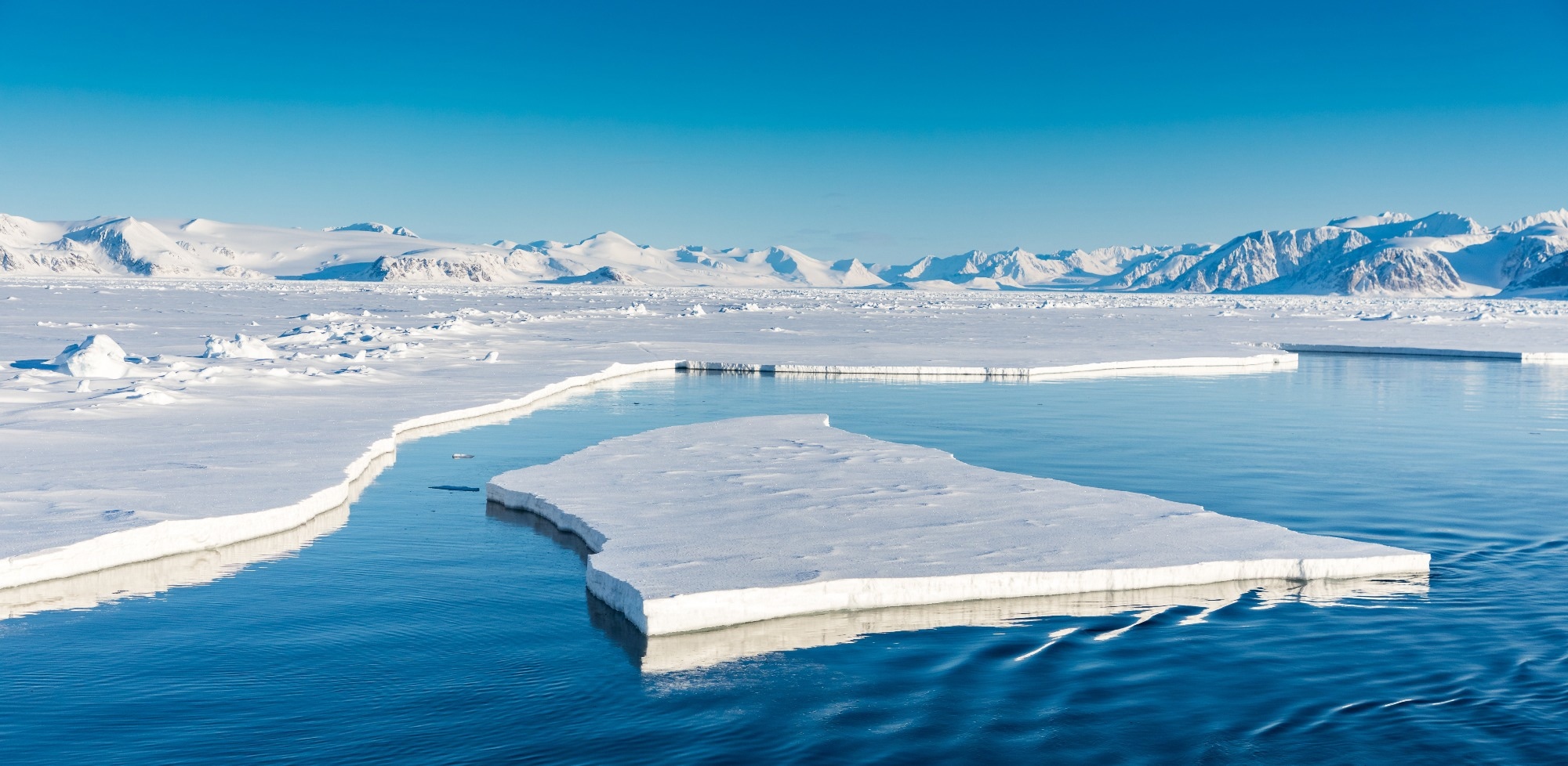 Study: Bioprospecting of inhibitors of EPEC virulence from metabolites of marine actinobacteria from the Arctic Sea. Image Credit: Risto Raunio / Shutterstock