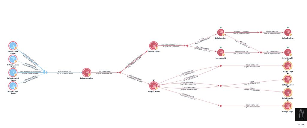 Genesis creditor flight diagram