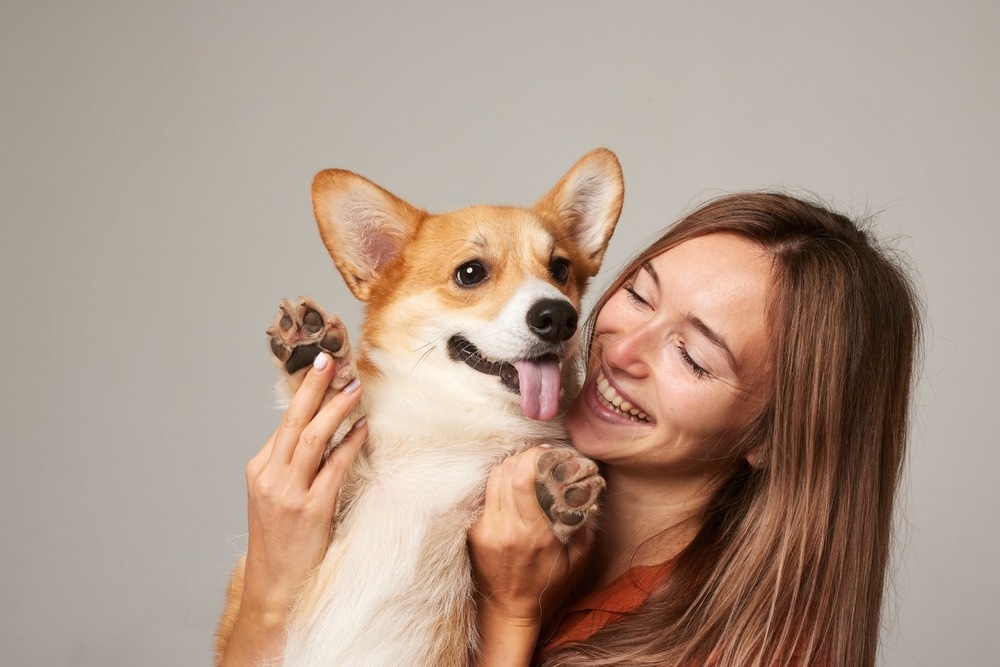 Study: Disrupted Human–Dog Interbrain Neural Coupling in Autism-Associated Shank3 Mutant Dogs. Image Credit: sergey kolesnikov/Shutterstock.com