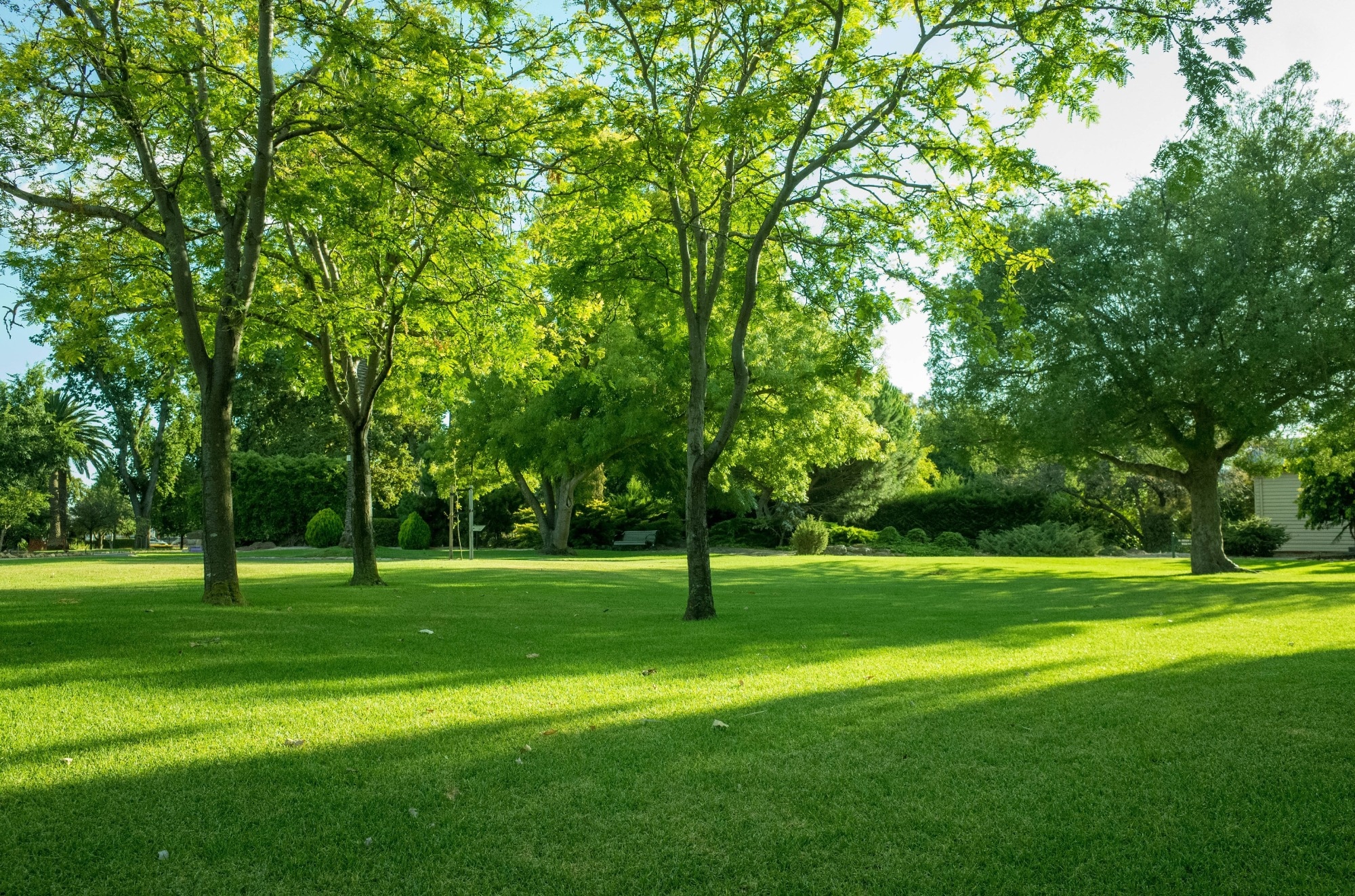 Photo of green park