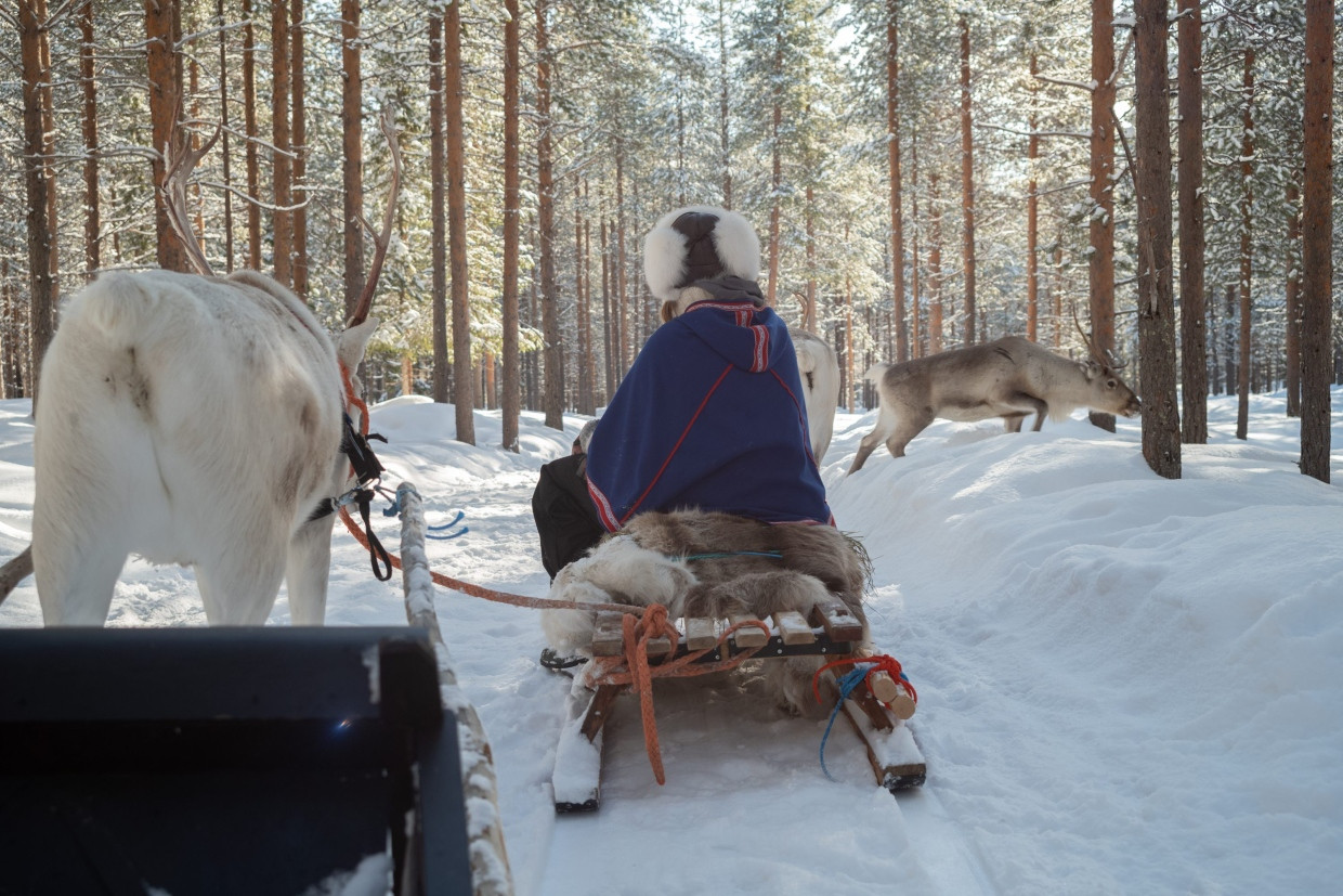 You can also meet Santa's reindeer on a sleigh ride.