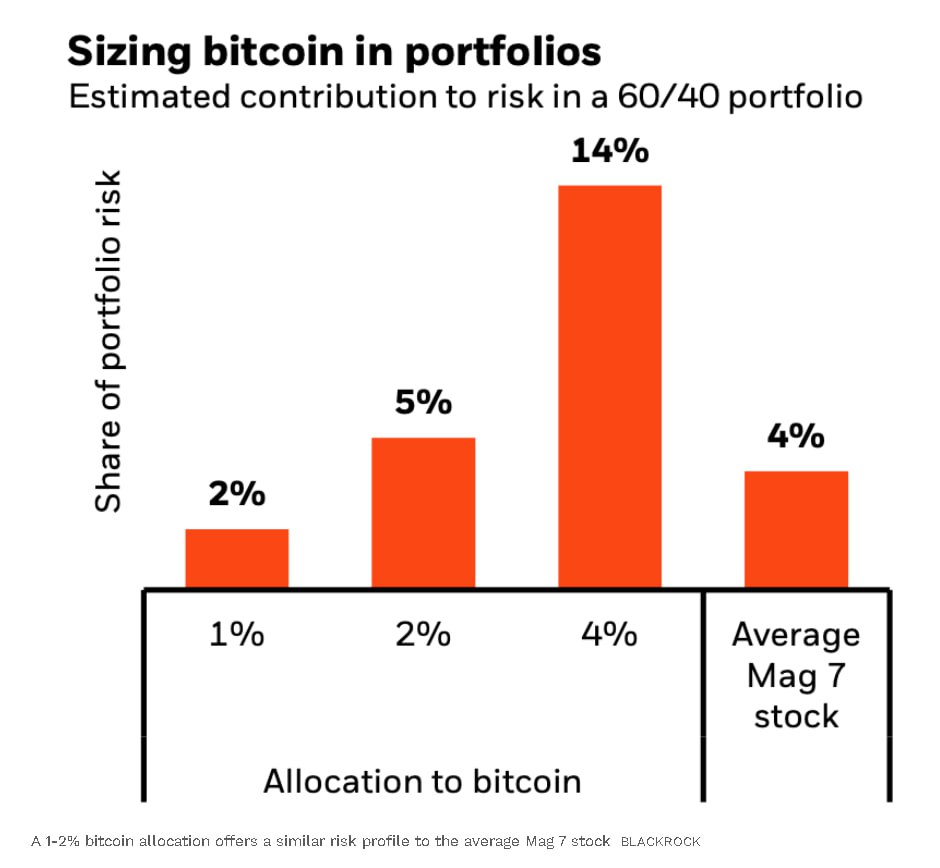 Bitcoin allocation in Blackrock investment portfolio