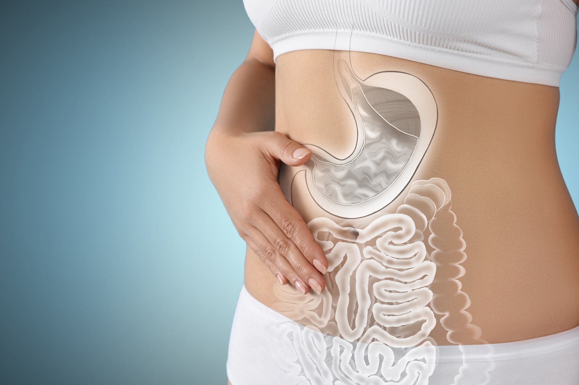 Study: Gut physiology and environment explain variations in human gut microbiome composition and metabolism. Image Credit: New Africa / Shutterstock