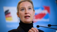 Invited by Elon Musk: Alice Weidel, co-chair and candidate for chancellor of the AfD