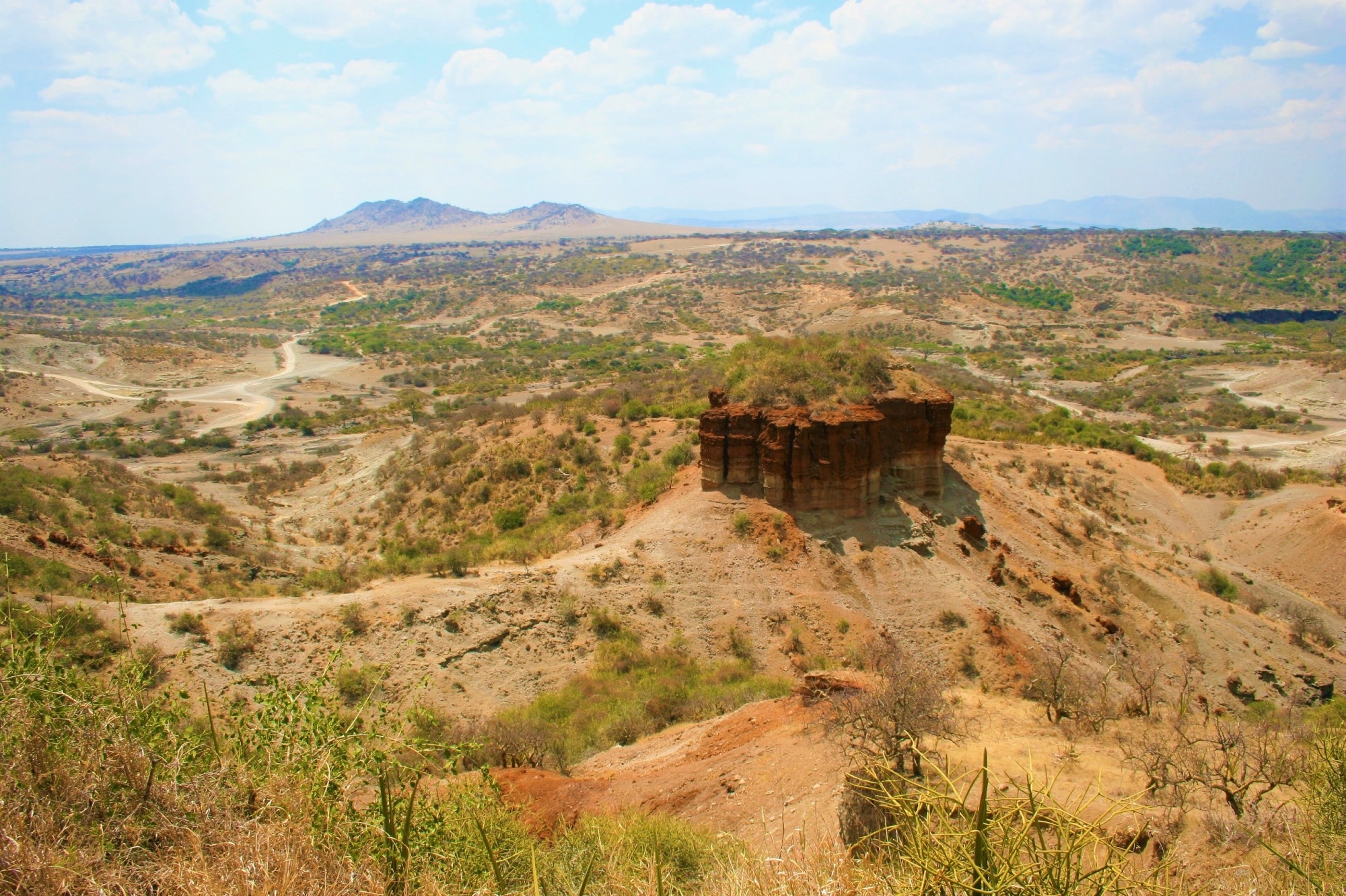 Olduvai Gorge, Tanzania. Image Credit: t.m. urban / Shutterstock. Study: Homo erectus adapted to steppe-desert climate extremes one million years ago