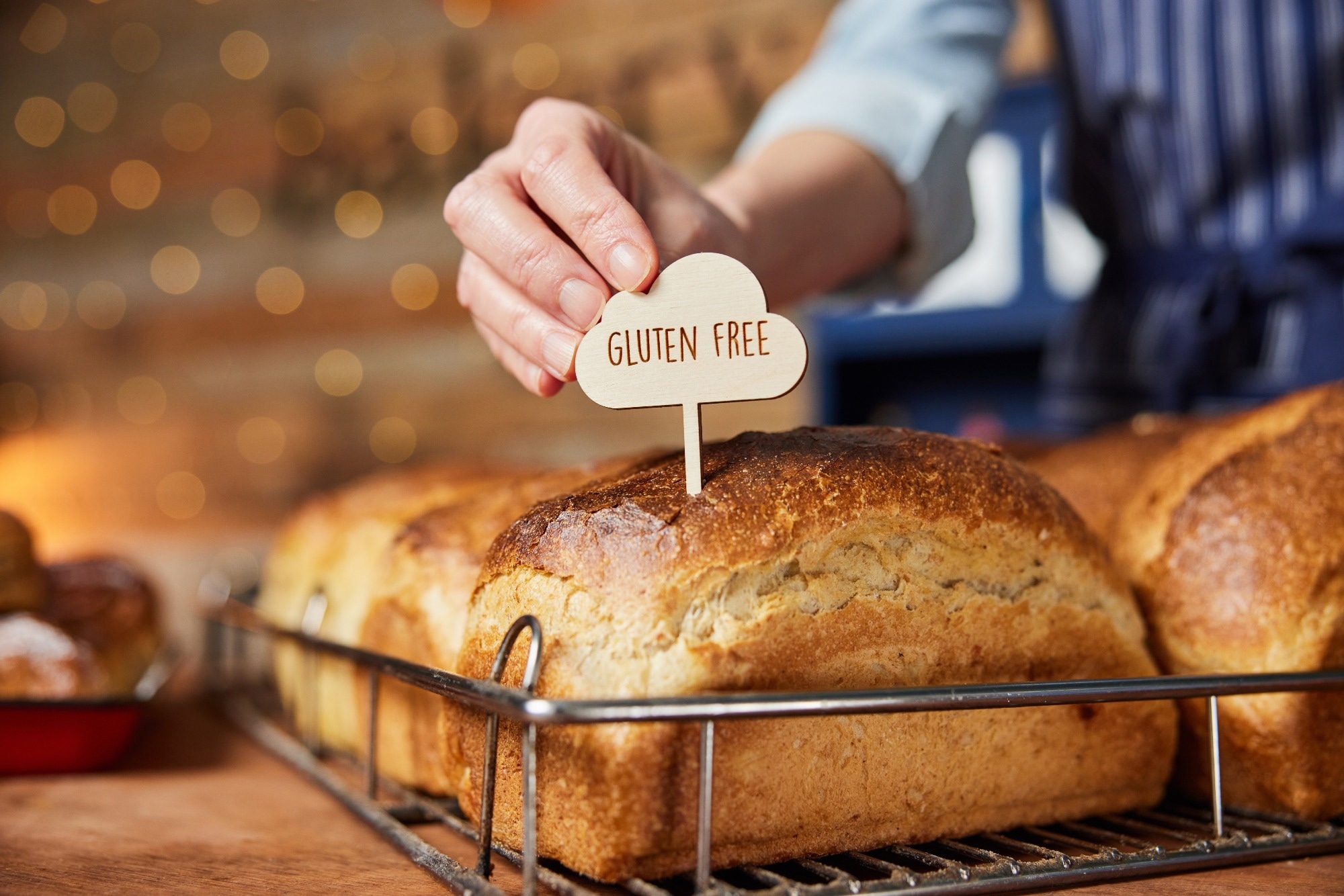 Study: Determination and Comparison of Fat and Fibre Contents in Gluten-Free and Gluten-Containing Flours and Breads: Nutritional Implications. Image Credit: Daisy Daisy / Shutterstock