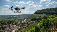 A small drone over a vineyard in Klüsserath in Rhineland-Palatinate (archive image)