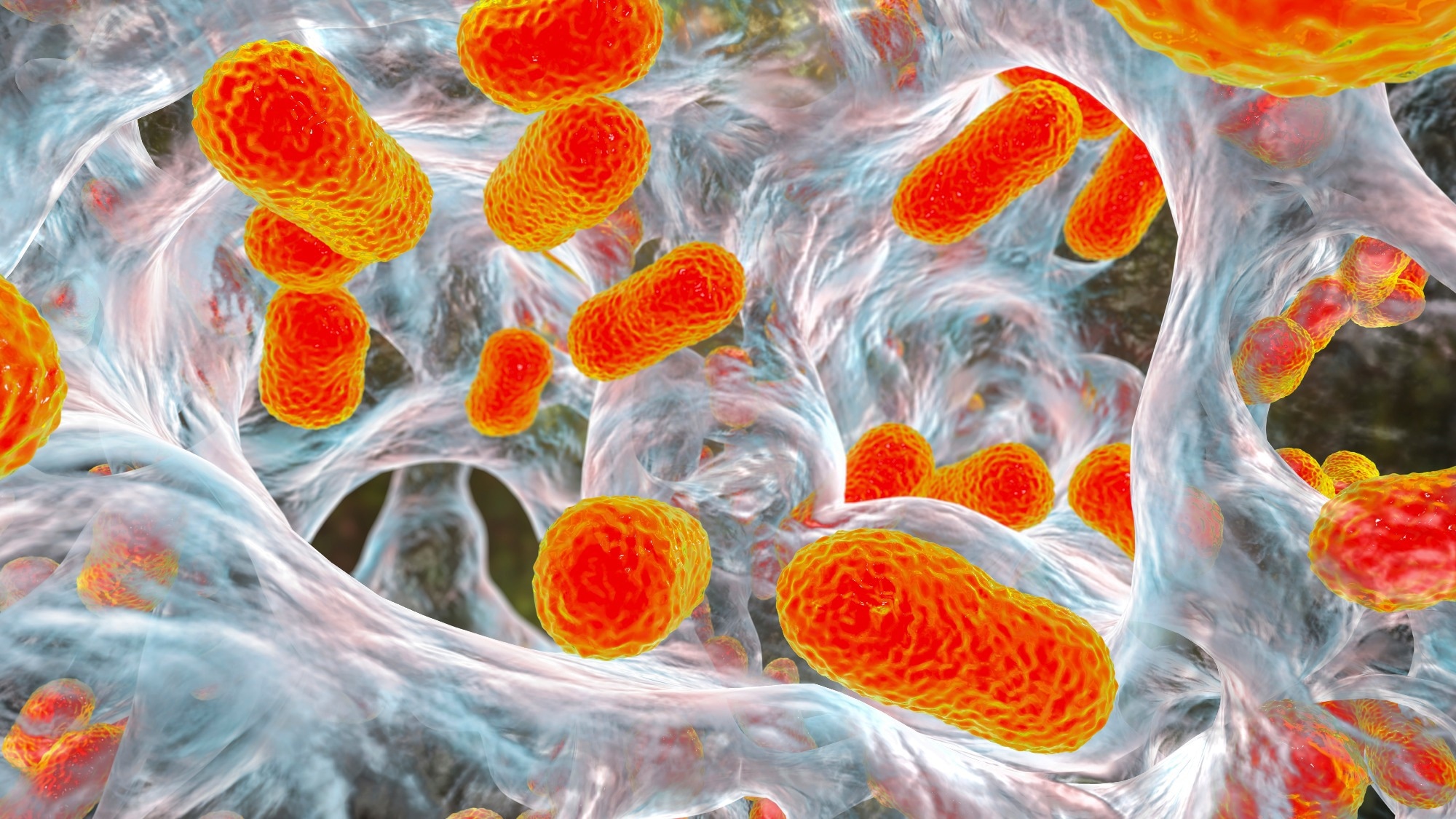 Study: Increasing number of cases and outbreaks caused by Candida auris in the EU/EEA, 2020 to 2021. Image Credit: Kateryna Kon/Shutterstock