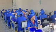 Workers at the Moldovan nut and dried fruit manufacturer Monicol in Nimoreni, south of Chişinău.