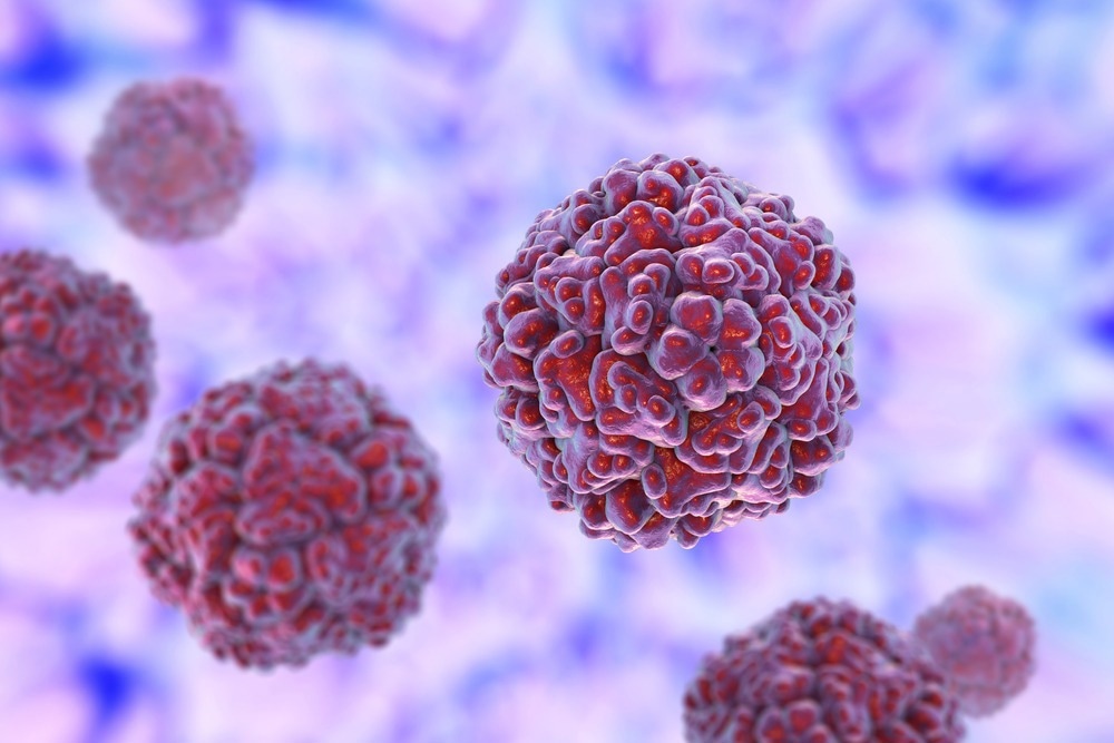 Study: Trends in Risk Factors and Symptoms Associated With SARS-CoV-2 and Rhinovirus Test Positivity in King County, Washington, June 2020 to July 2022. Image Credit: Kateryna Kon/Shutterstock