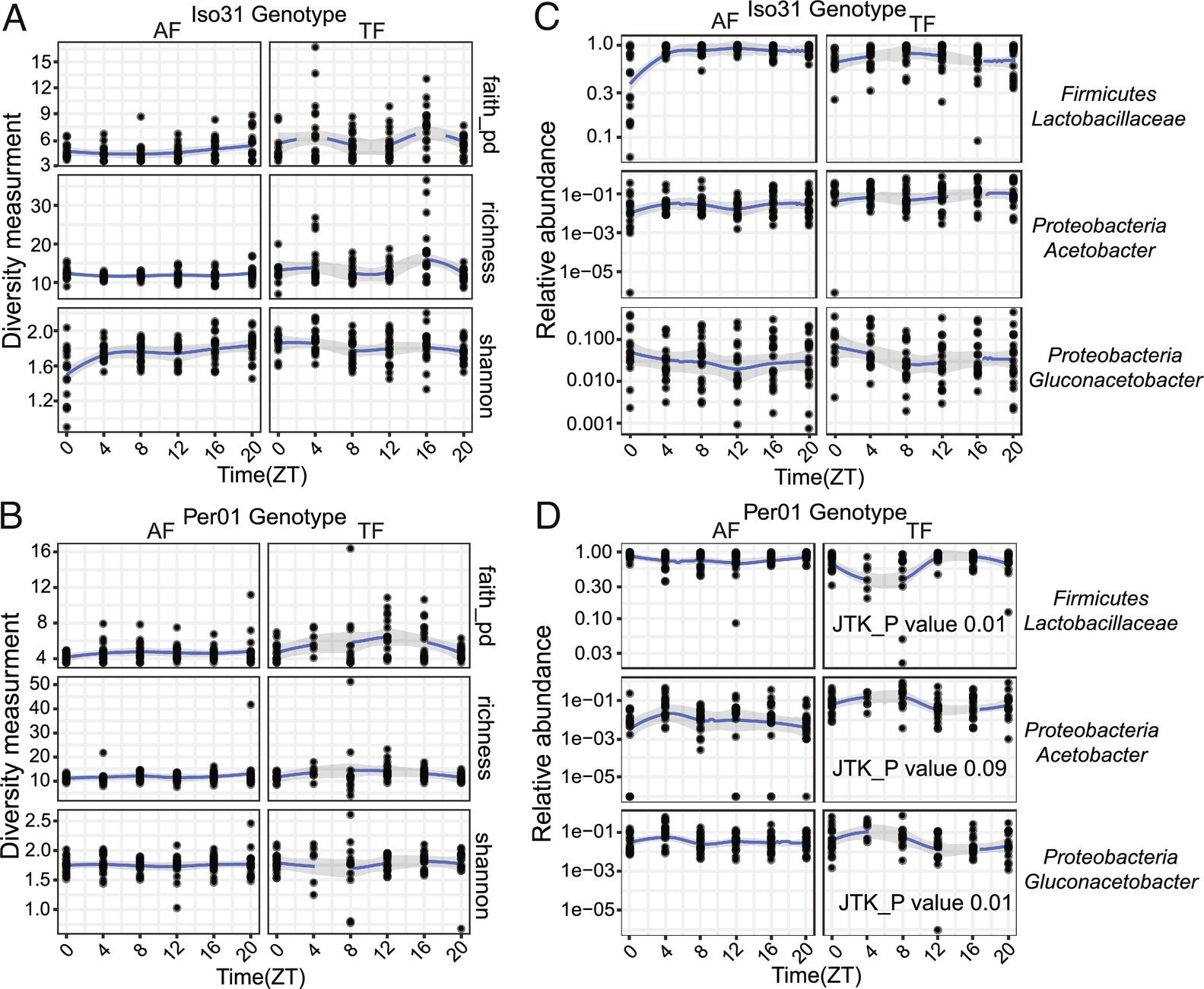 The Drosophila intestinal microbiome is largely stable over a daily cycle. (A and B) Microbiome diversity does not show diurnal oscillations in wild type Iso31 or clock mutant per01 fly guts under ad−lib (AF) or TF conditions. JTK_cycle was used to assess rhythmicity. (C and D) Specific bacterial species cycle under TF conditions, but only in per01. JTK_cycle values are shown.