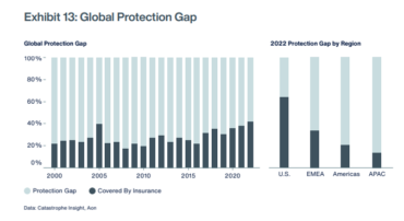 Bar graph that shows global protection gap per year and global region