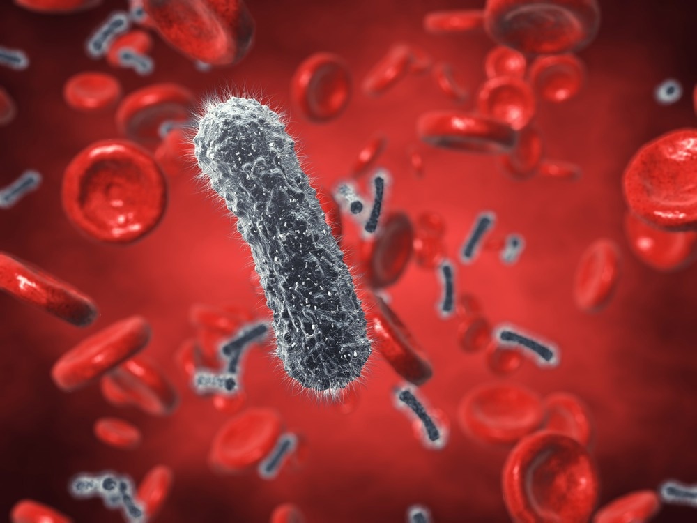 Study: Association of Appropriate Empirical Antimicrobial Therapy With In-Hospital Mortality in Patients With Bloodstream Infections in the US. Image Credit: nobeastsofierce/Shutterstock