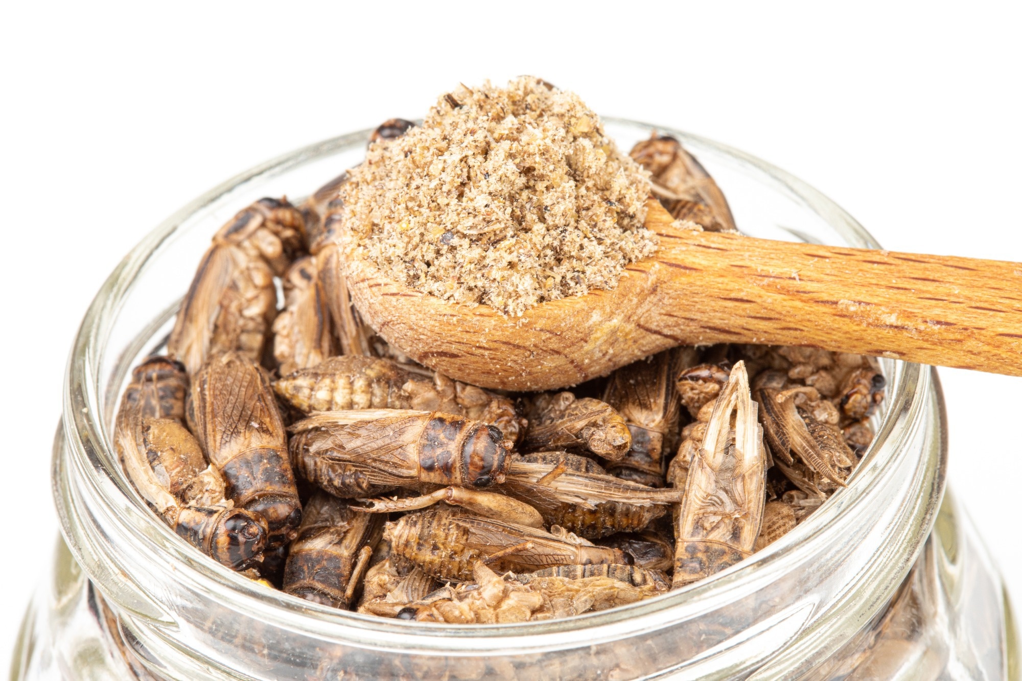 Study: Edible Insects an Alternative Nutritional Source of Bioactive Compounds: A Review. Image Credit: Giedrius Akelis / Shutterstock