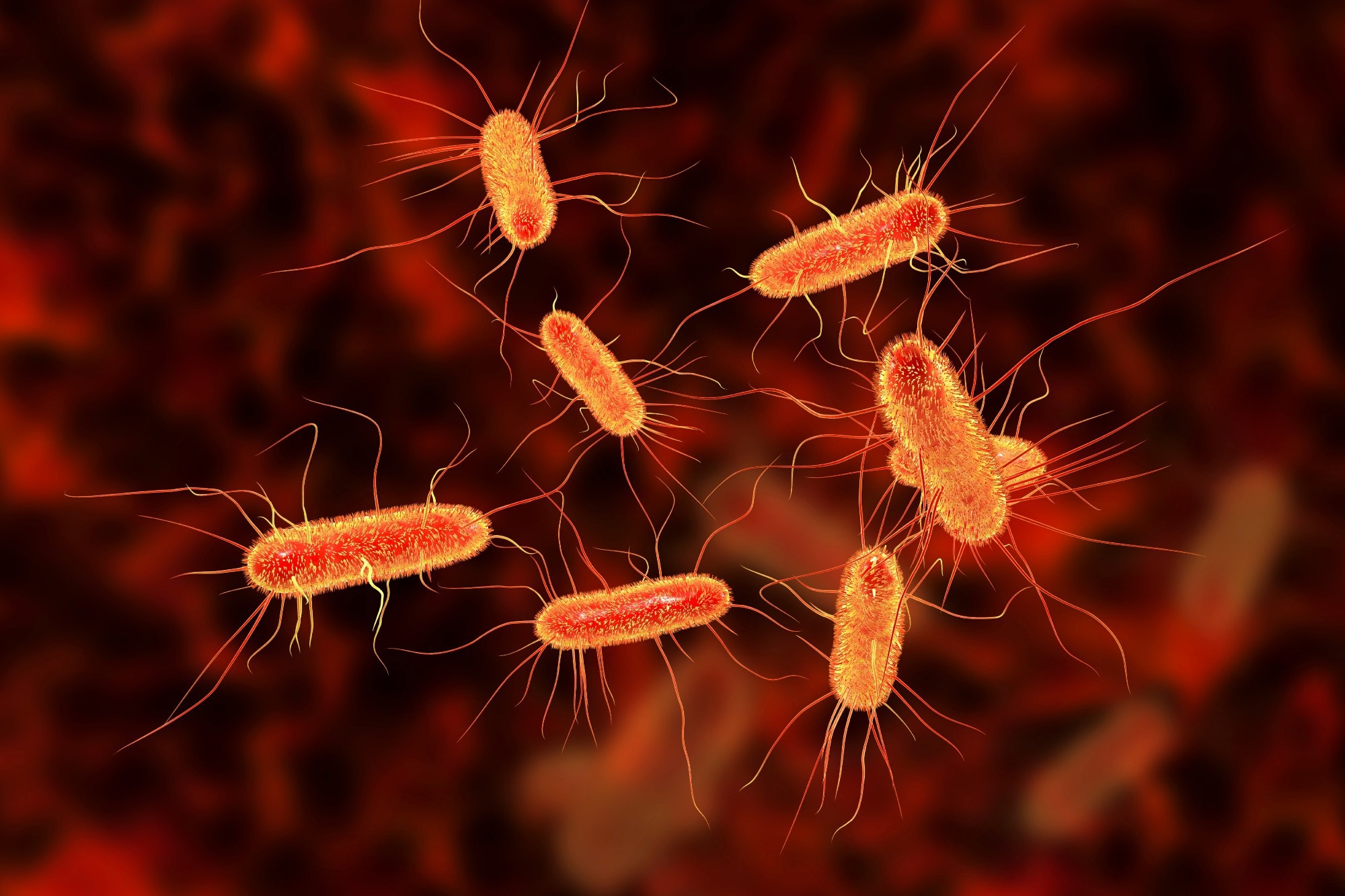 Study: Laboratory diagnosed microbial infection in English UK Biobank participants in comparison to the general population. Image Credit: Kateryna Kon / Shutterstock