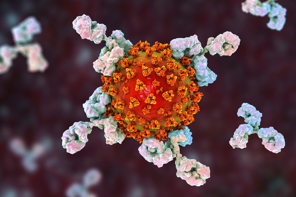 Study: Hybrid and herd immunity 6 months after SARS-CoV-2 exposure among individuals from a community treatment program. Image Credit: Kateryna Kon/Shutterstock