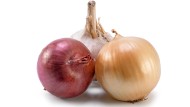The underestimated gold of the Netherlands: Various types of onions and garlic grow in the nutrient-rich soils of the temperate latitudes.