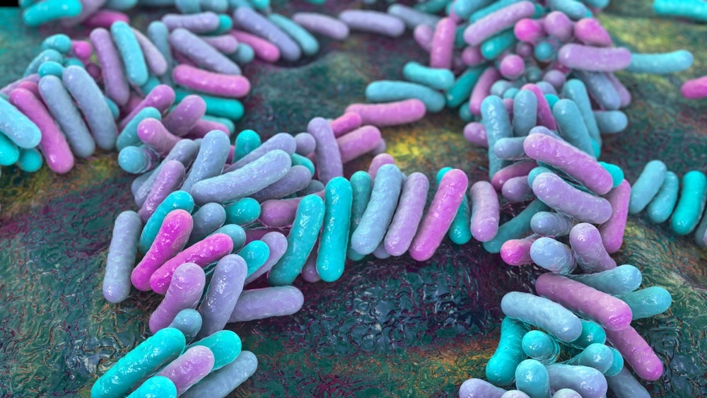 Study: Understanding respiratory microbiome–immune system interactions in health and disease. Image Credit: Kateryna Kon/Shutterstock