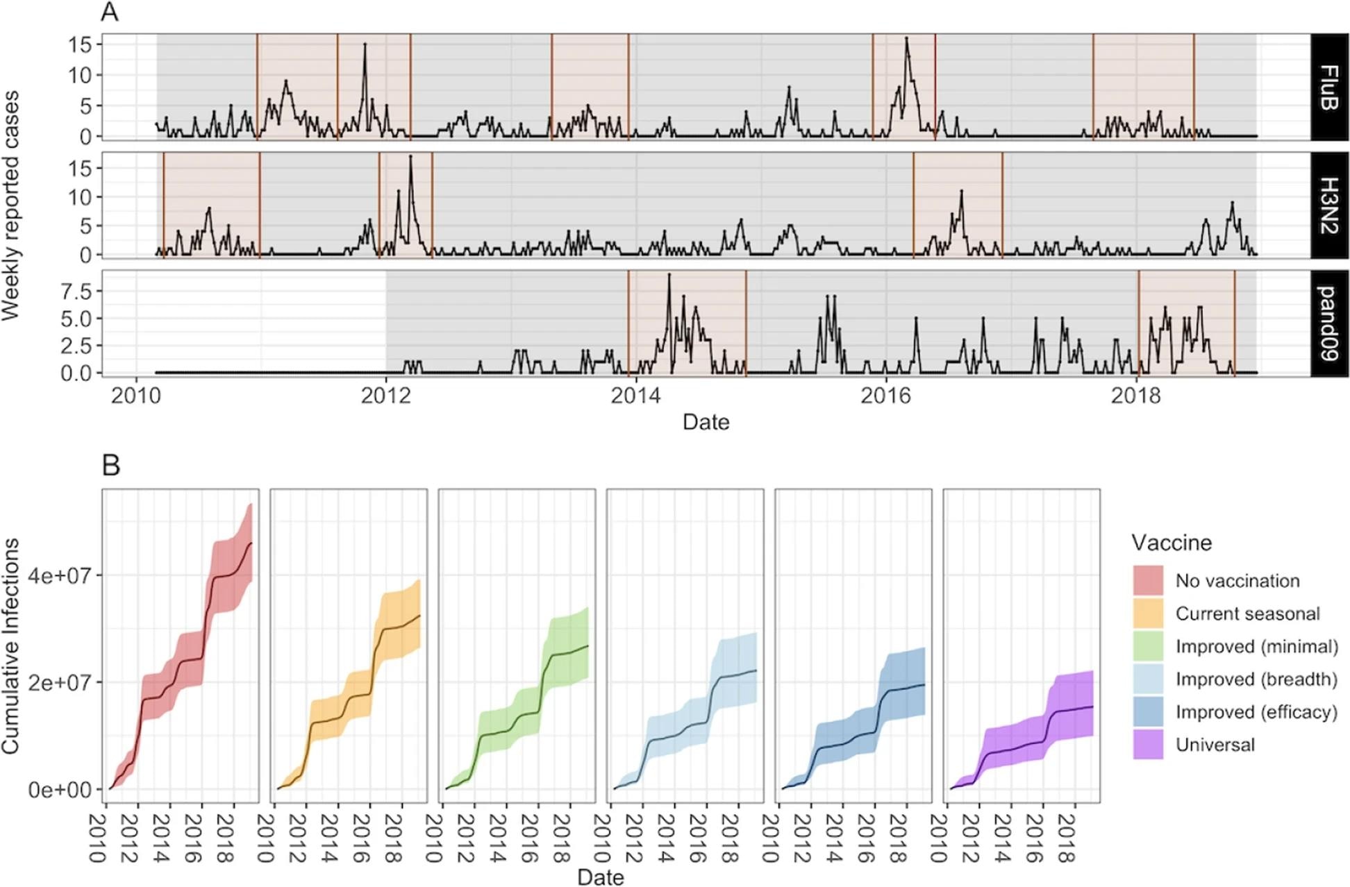 Number of weekly reported cases during epidemic and inter-epidemic time periods. Epidemic periods are highlighted in brown, and periods used to estimate the background force of infection are shown in grey. B Model projections of cumulative number of infections (median and 95% CrI) by vaccine scenario