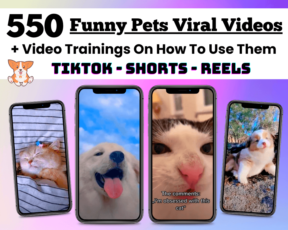 DFY-Funny-Pets-Shorts-Mega-Bundle