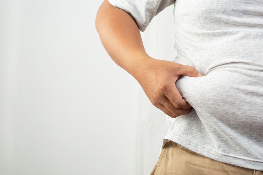 Study: The link between obesity and autoimmunity. Image Credit: SHISANUPONG1986/Shutterstock