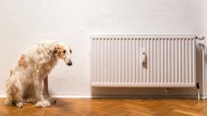 You want to get rid of the old heating system - but what do you actually have to consider?