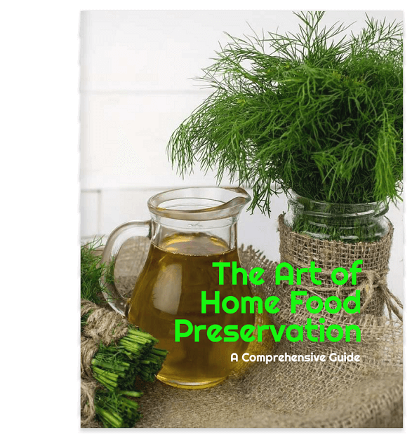 Food-Preservation-PLR.