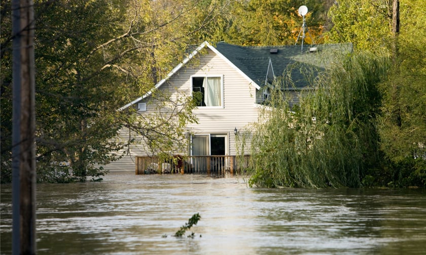 Private flood insurers seize market growth amid NFIP pricing challenges