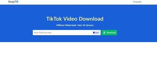 tiktok online watermark remover