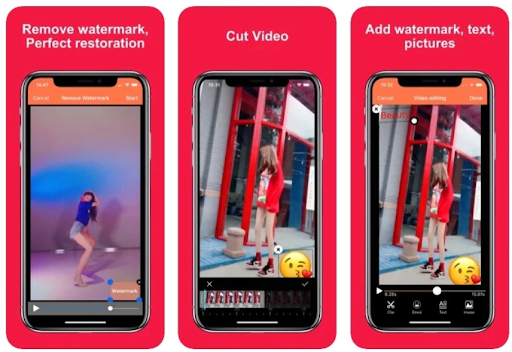 video eraser application