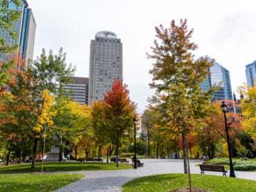 Dorchester square in Montreal