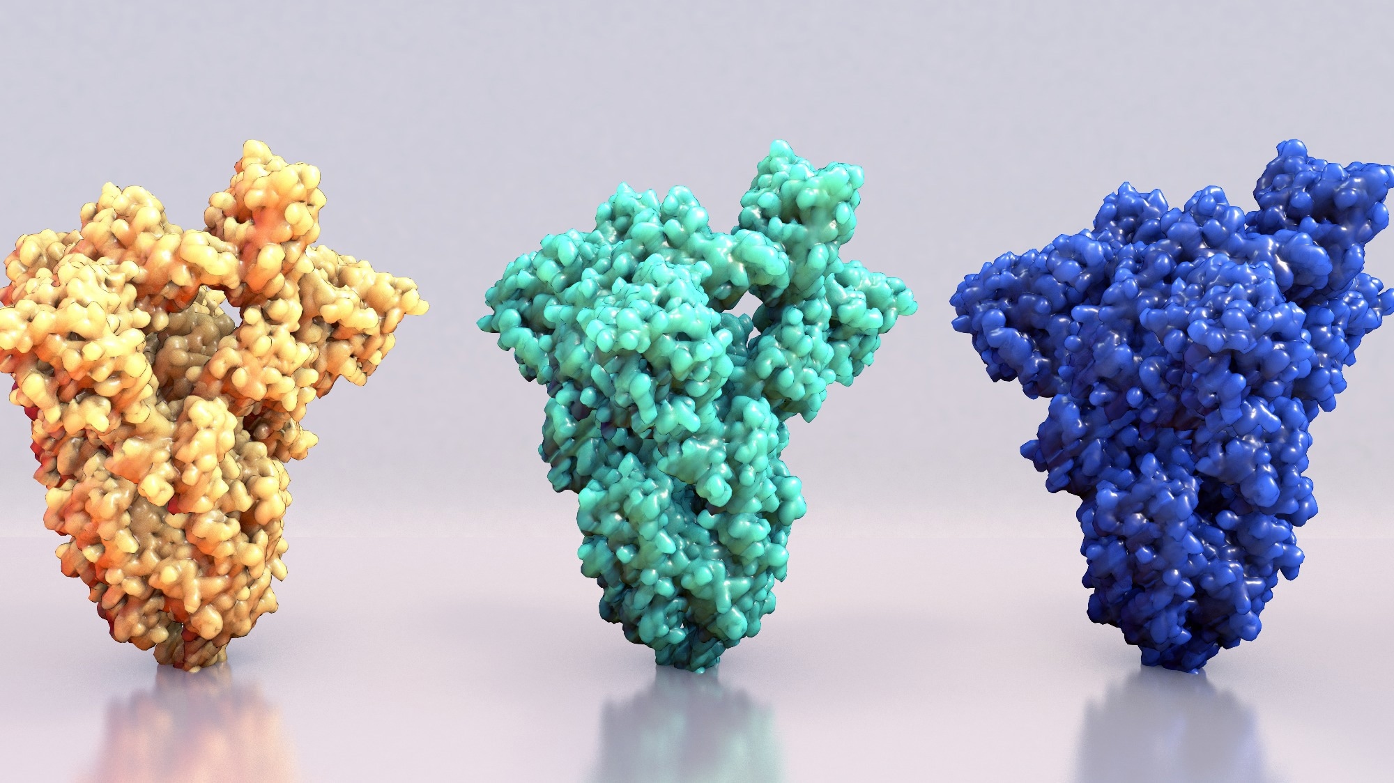 Study: Sialoglycan binding triggers spike opening in a human coronavirus. Image Credit: Design_cells / Shutterstock.com
