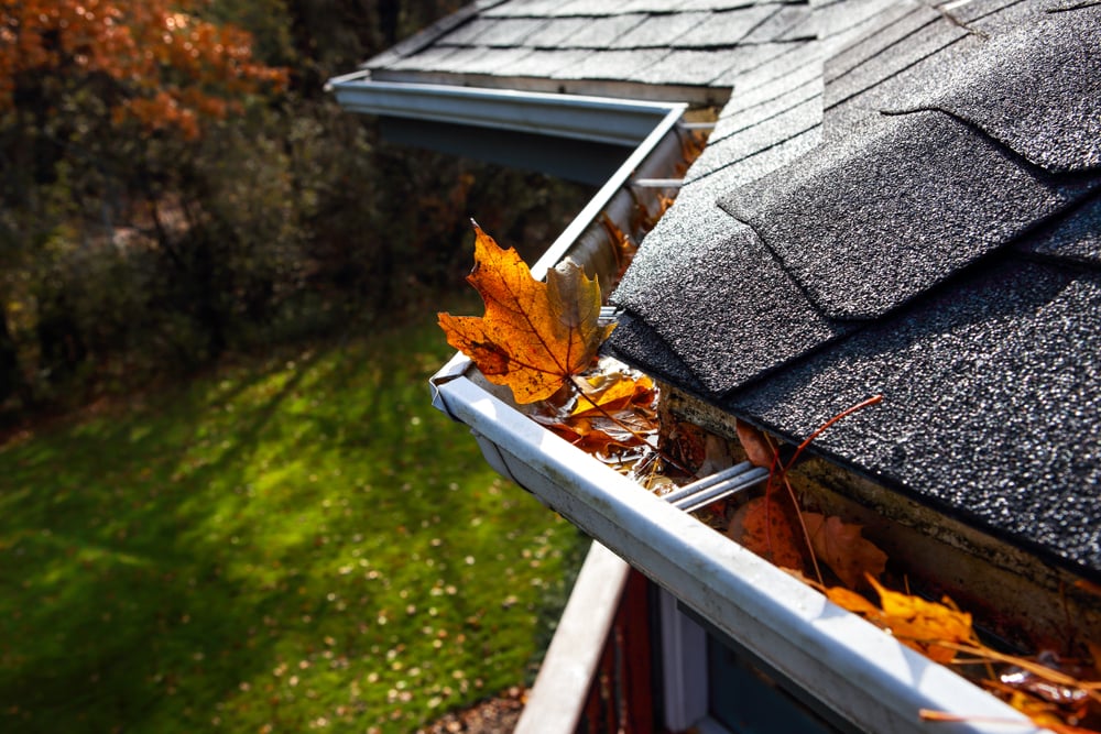 Leaves can clog even large gutters