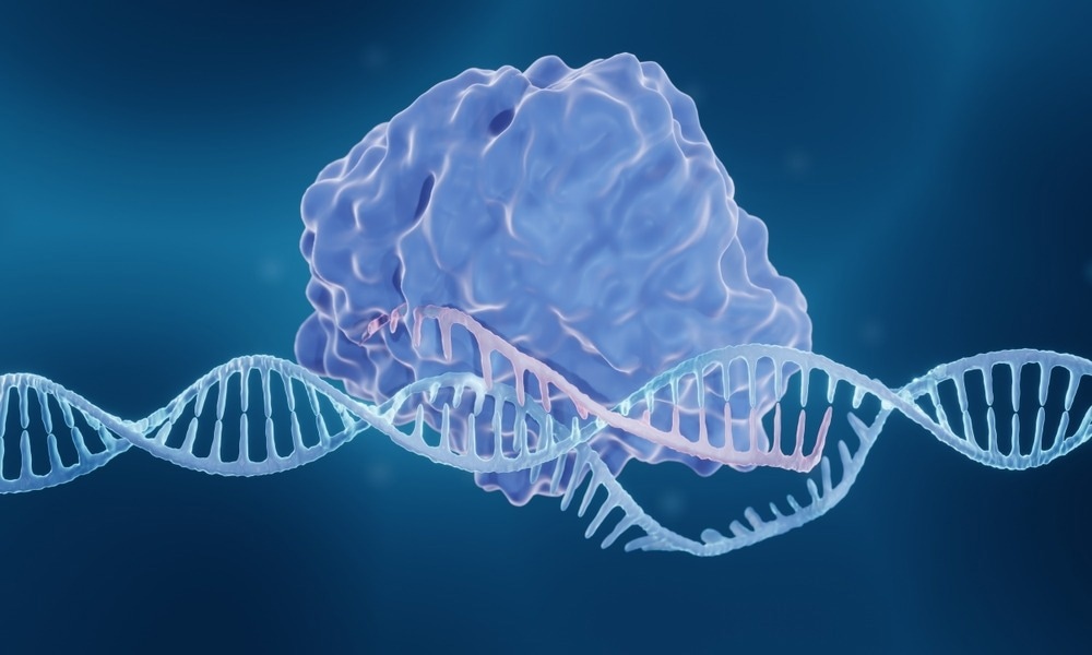 Study: Targeting the non-coding genome and temozolomide signature enables CRISPR-mediated glioma oncolysis. Image Credit: ART-ur/Shutterstock.com