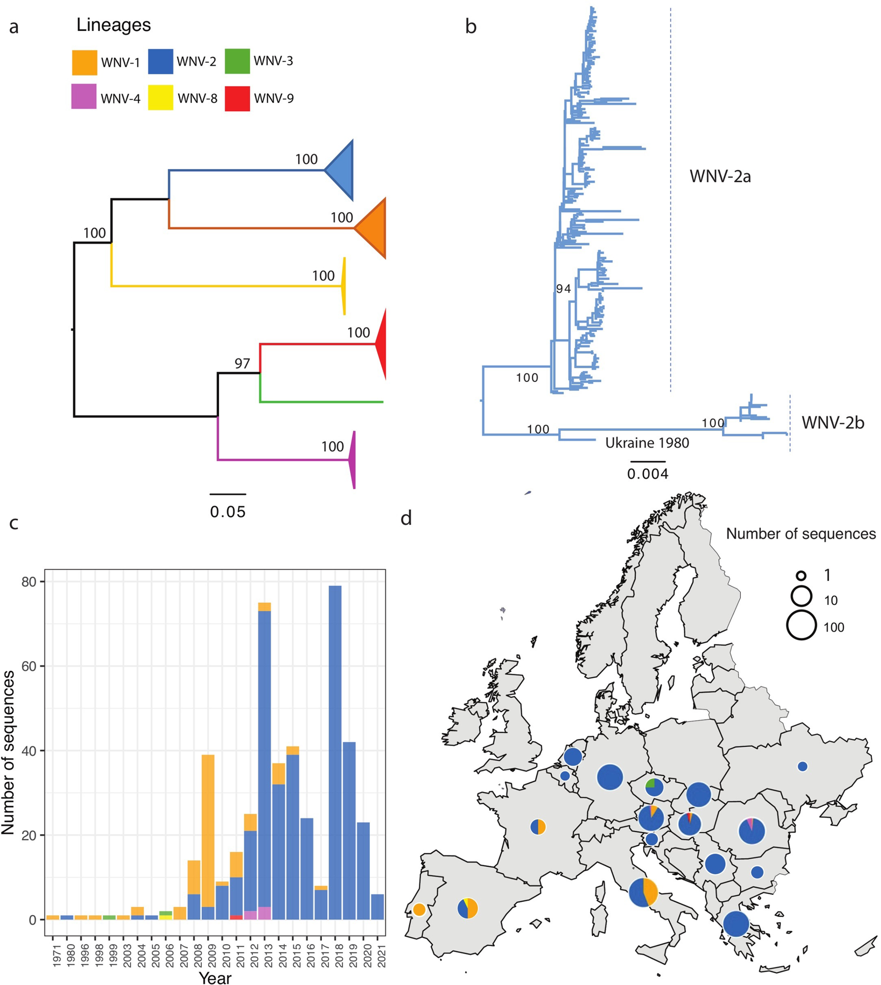 Phylogenetic analysis of WNV full and partial nucleotide sequences detected from Europe. The evolutionary distances were computed using the optimal GTR+I model, the phylogenetic tree was constructed with the Maximum likelihood (ML) method. Bootstrap values are given for 1000 replicates. (a) ML tree of all lineages found in Europe. The branches of lineages are all collapsed and shown as rectangles; (b) The subtree of WNV-2 sequences; (c) The WNV lineages distribution over time using the same color showing on the tree; (d) The geographical distribution of WNV lineages. Map with a small pie chart showing the total number of sequences detected (on a logarithmic scale) per country, with each slice proportional to the number of distinct WNV lineages within that country. The European shapefile used in the study was obtained from Data and Maps for ArcGIS (formerly Esri Data & Maps, https://www.arcgis.com/home/group.html?id=24838c2d95e14dd18c25e9bad55a7f82#overview) under a CC-BY 4.0 license.