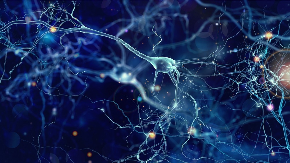 Study: 3D bioprinting of human neural tissues with functional connectivity. Image Credit: whitehoune/Shutterstock.com