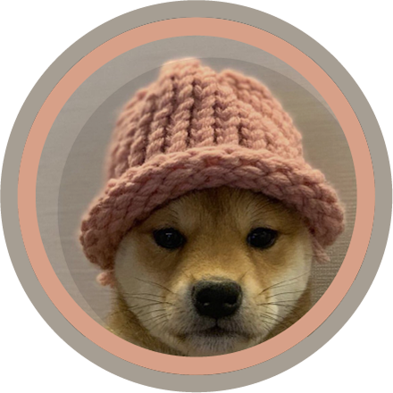 Dogwifhat WIF Logo