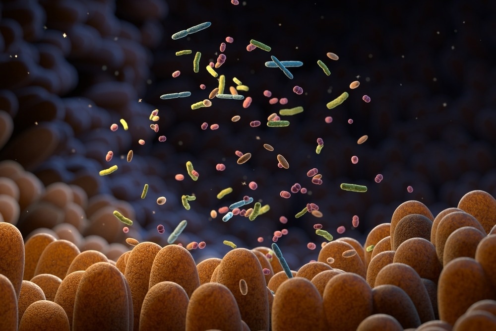 Study: Gut bacteria–derived serotonin promotes immune tolerance in early life. Image Credit: Tatiana Shepeleva/Shutterstock,com