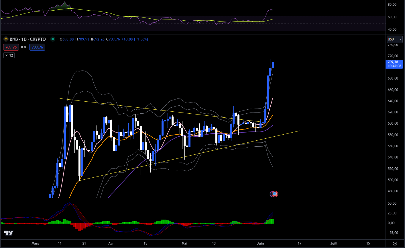 Graphique du cours du BNB en D (journalier)